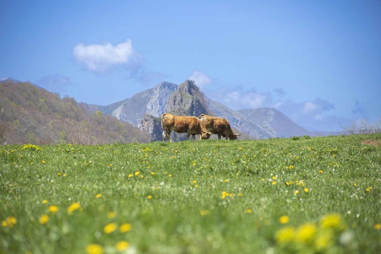 Casa Noval Zona Rural En El Centro De Asturias Apartman Bimenes Kültér fotó